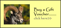 Gift Voucher