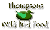 Thompsons